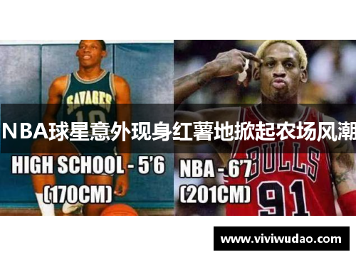 NBA球星意外现身红薯地掀起农场风潮