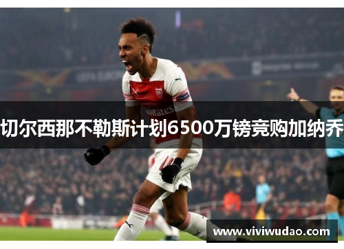 切尔西那不勒斯计划6500万镑竞购加纳乔